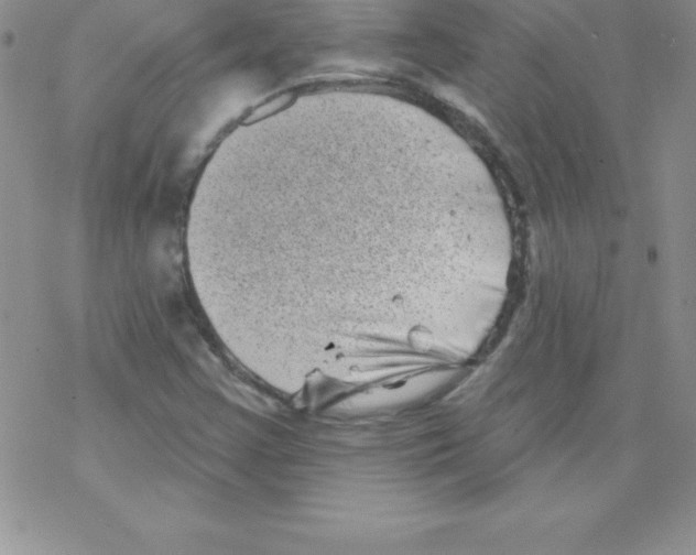 X0000077351355200611171848