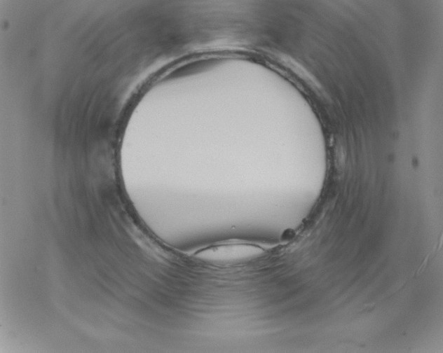 X0000077351356200611171848