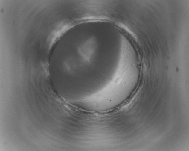 X0000077351357200611171848