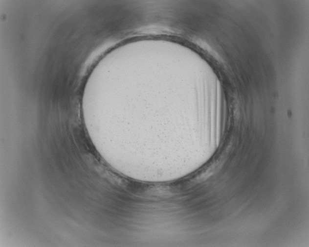 X0000077351358200611171848