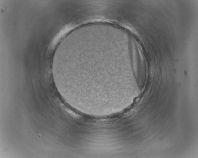 X0000077351359200611171848