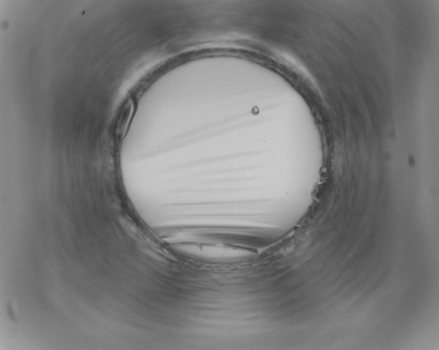 X0000077351360200611171847