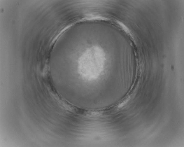 X0000077351361200611171847