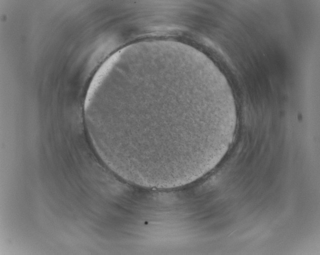 X0000077351362200611171847