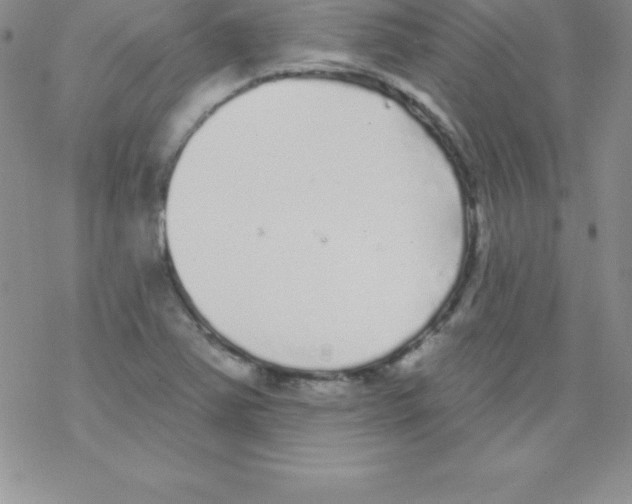 X0000077351363200611171847