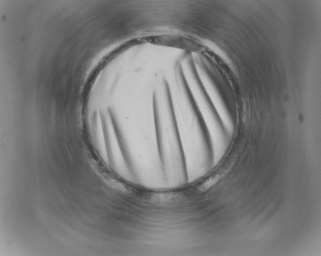 X0000077351364200611171847