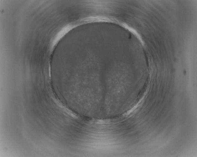 X0000077351365200611171847