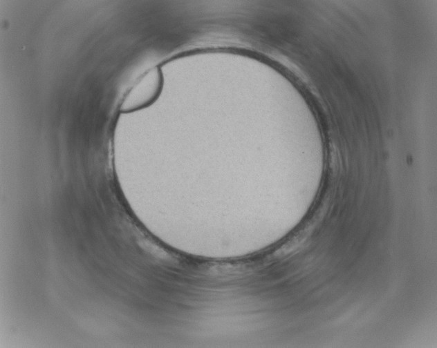 X0000077351366200611171847