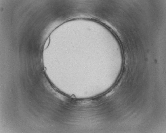 X0000077351367200611171847