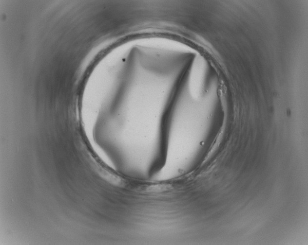 X0000077351368200611171847