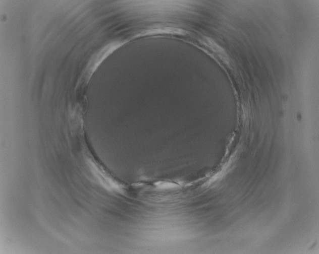 X0000077351369200611171847