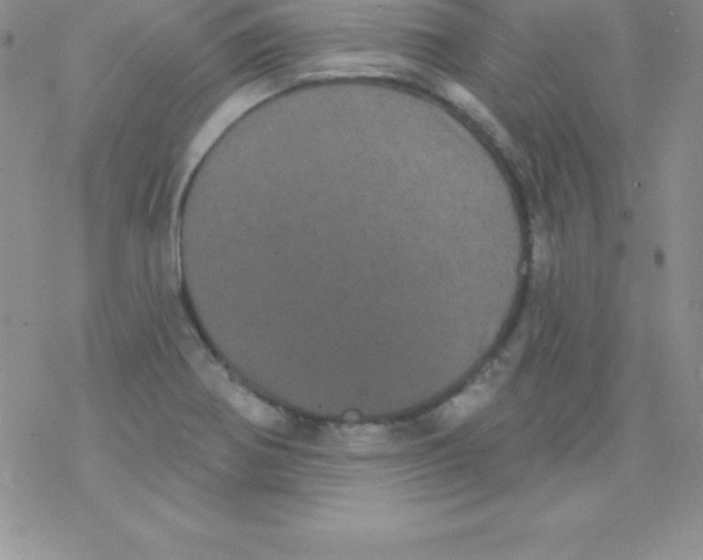 X0000077351370200611171847