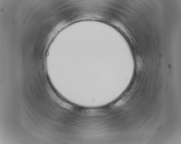 X0000077351371200611171847