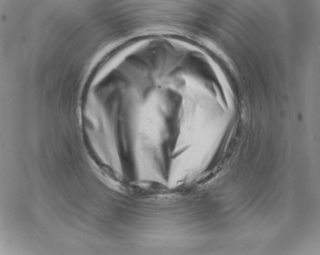 X0000077351372200611171847