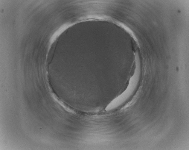 X0000077351373200611171847