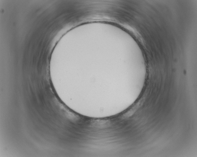 X0000077351374200611171847