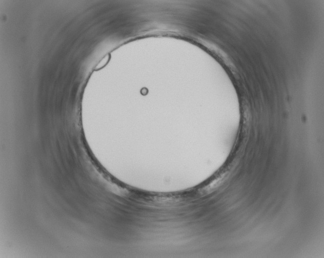 X0000077351375200611171847