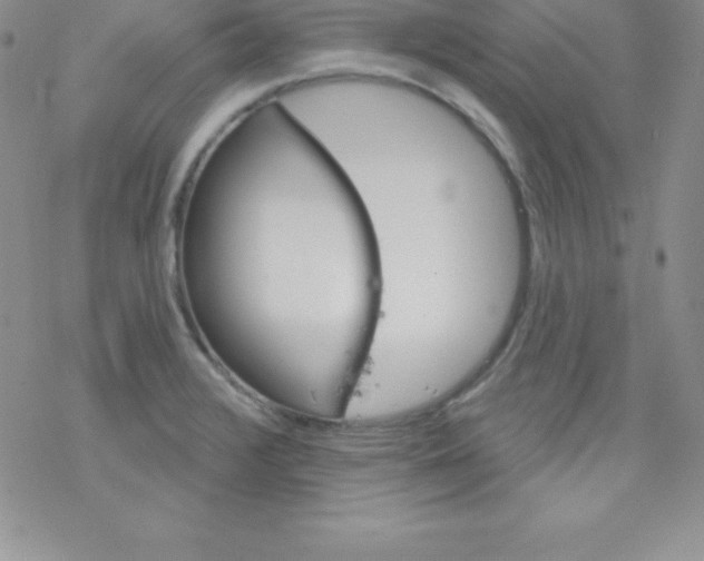 X0000077351376200611171847