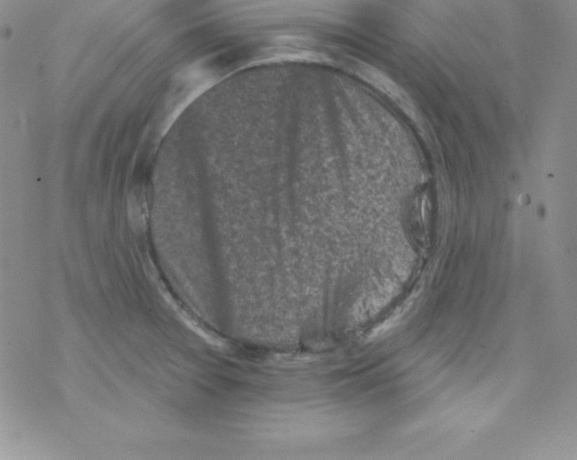 X0000077351377200611171847