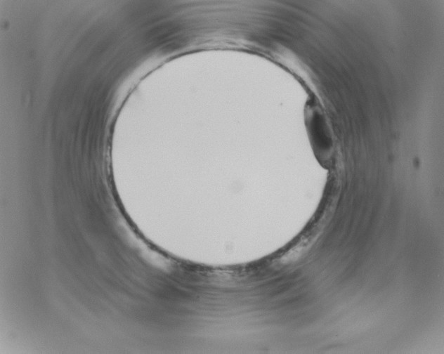 X0000077351379200611171847