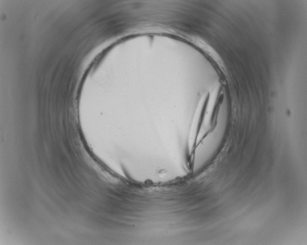 X0000077351380200611171847