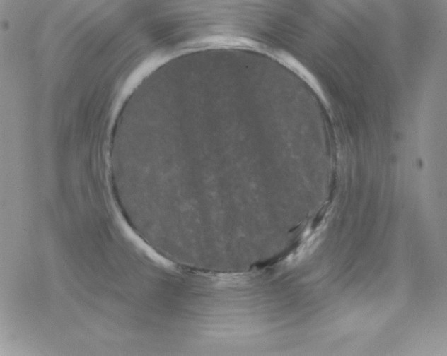 X0000077351381200611171847