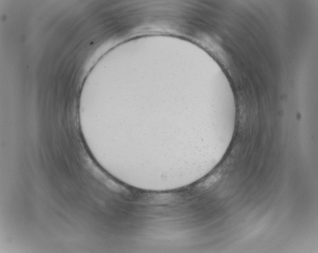 X0000077351382200611171847