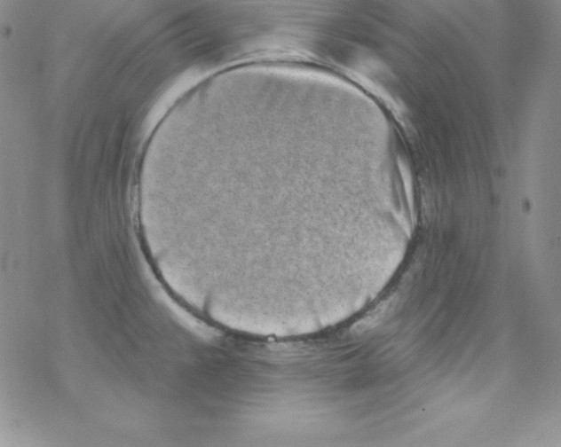 X0000077351383200611171847