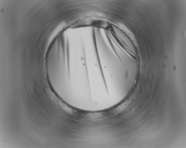 X0000077351384200611171847