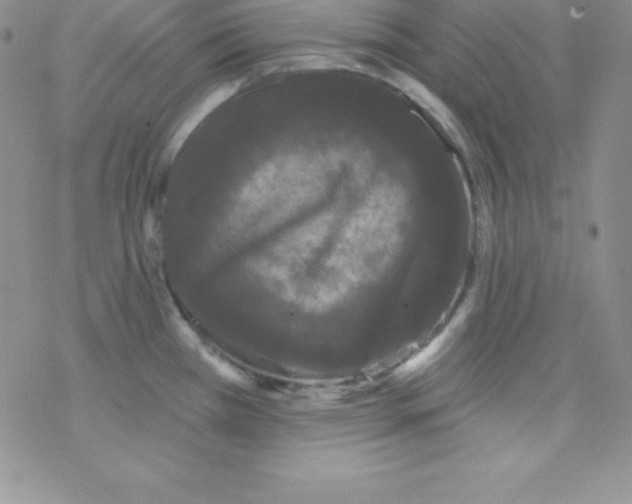 X0000077351385200611171847