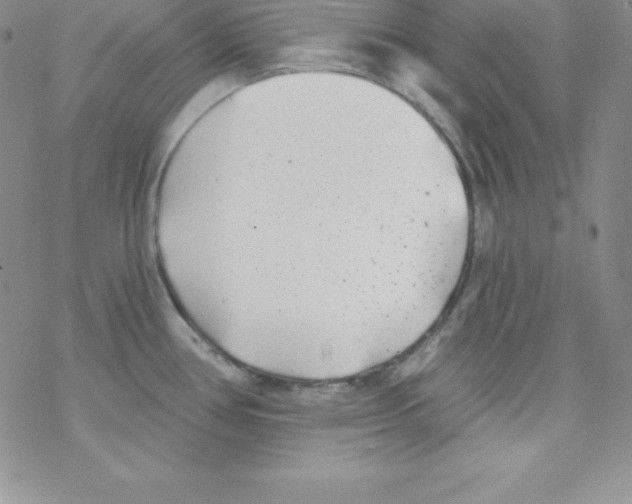 X0000077351386200611171847