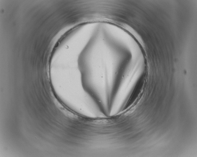 X0000077351388200611171847