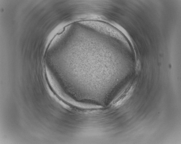 X0000077351389200611171847