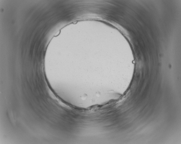 X0000077351390200611171847