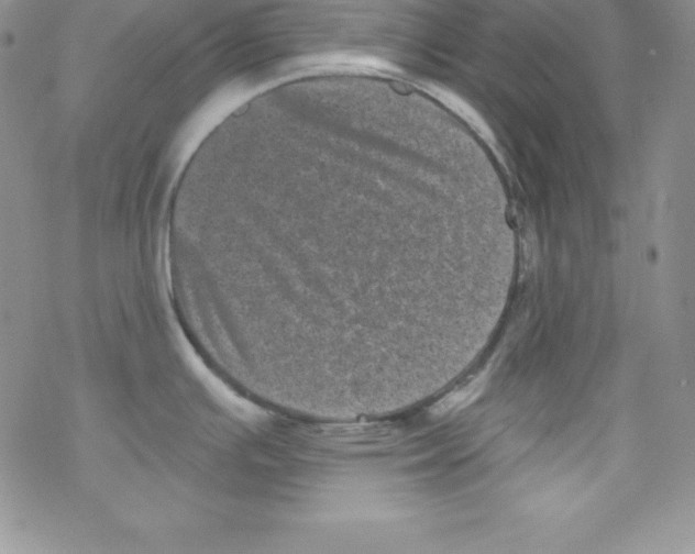 X0000077351391200611171847