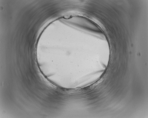 X0000077351392200611171847