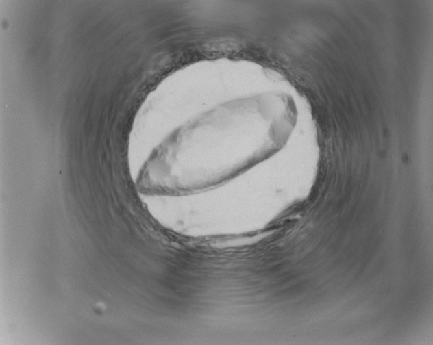 X0000077351393200611171846