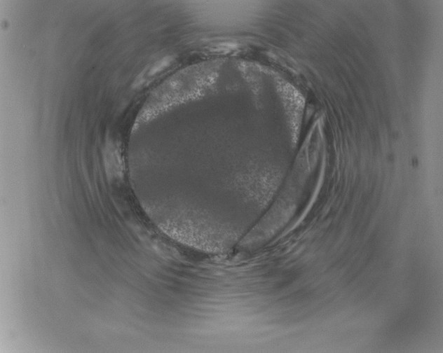 X0000077351394200611171846