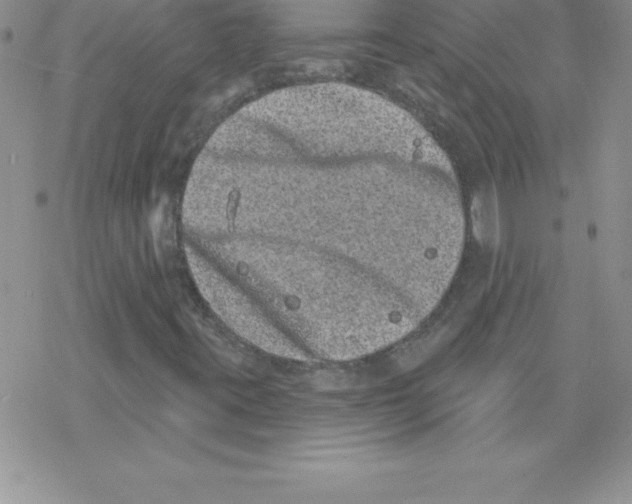 X0000077351395200611171846