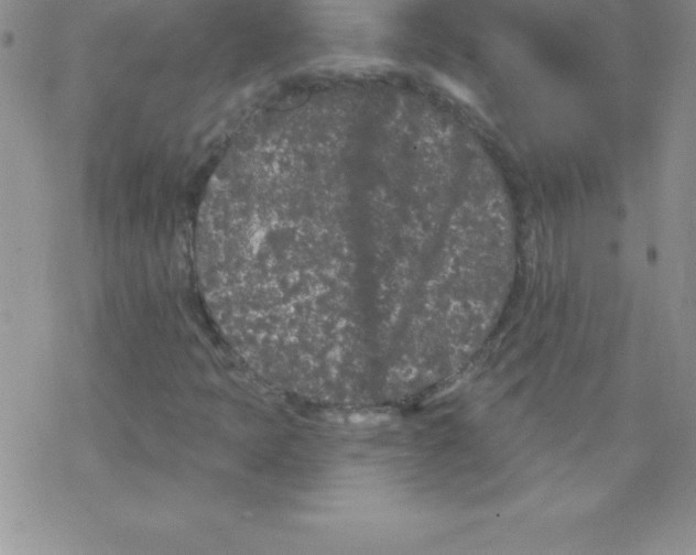 X0000077351397200611171846