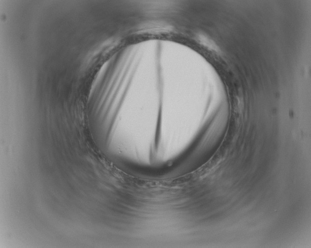 X0000077351398200611171846