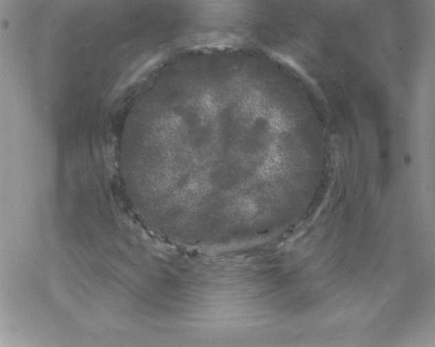 X0000077351399200611171846