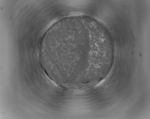 X0000077351401200611171846