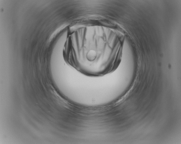 X0000077351402200611171846