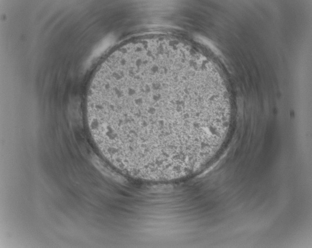 X0000077351403200611171846