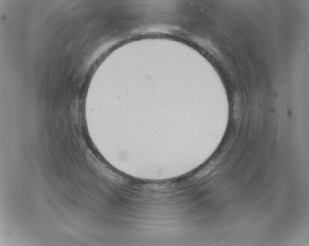 X0000077351404200611171846