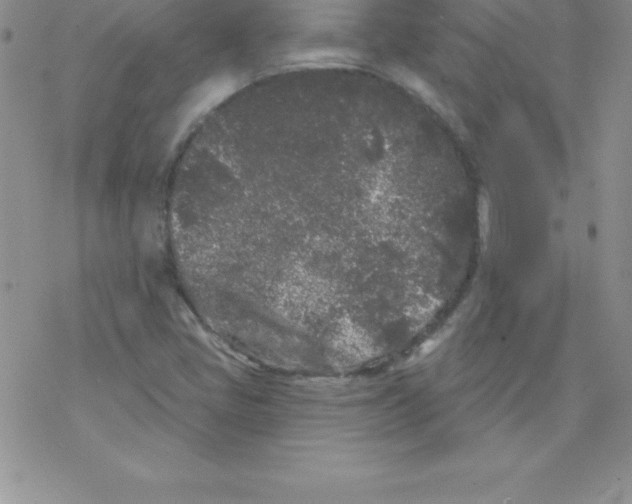 X0000077351405200611171846