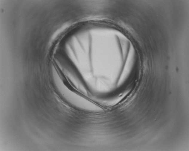 X0000077351406200611171846