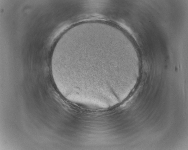 X0000077351407200611171846