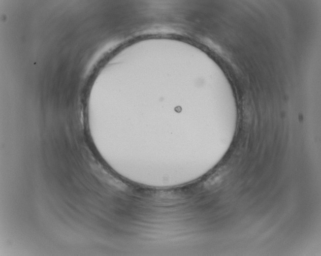 X0000077351408200611171846